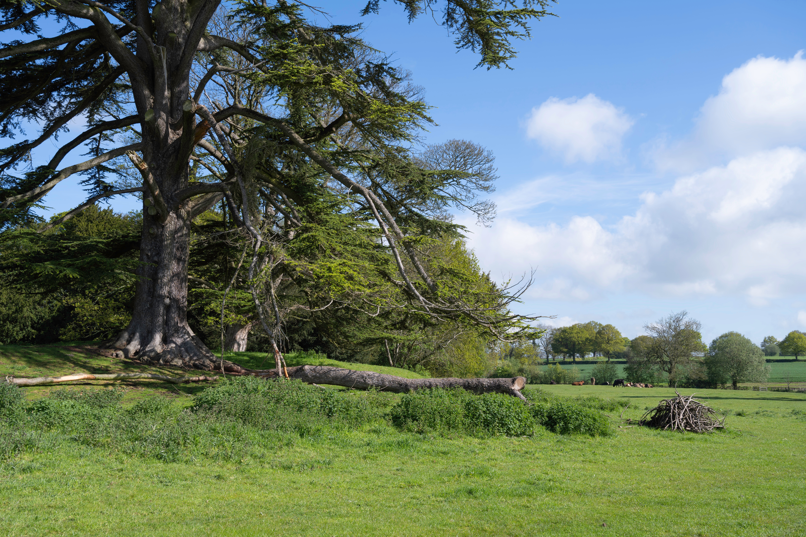 An image depicting the trail North Worcestershire Loop from Charnwood and its surrounding area.