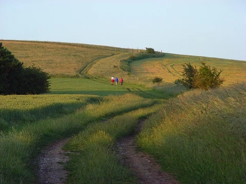 An image depicting the trail Compton Loop and its surrounding area.
