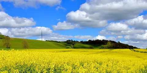 An image depicting the trail Pilgrims Way and its surrounding area.