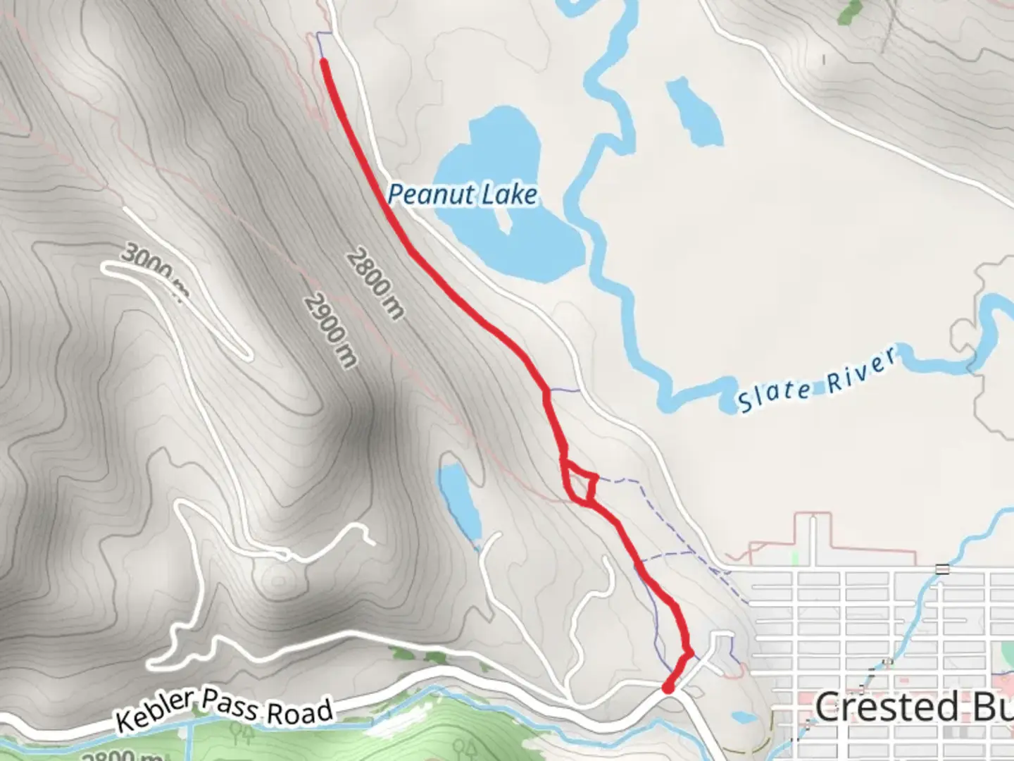 An image depicting the trail Woods Walk and its surrounding area.