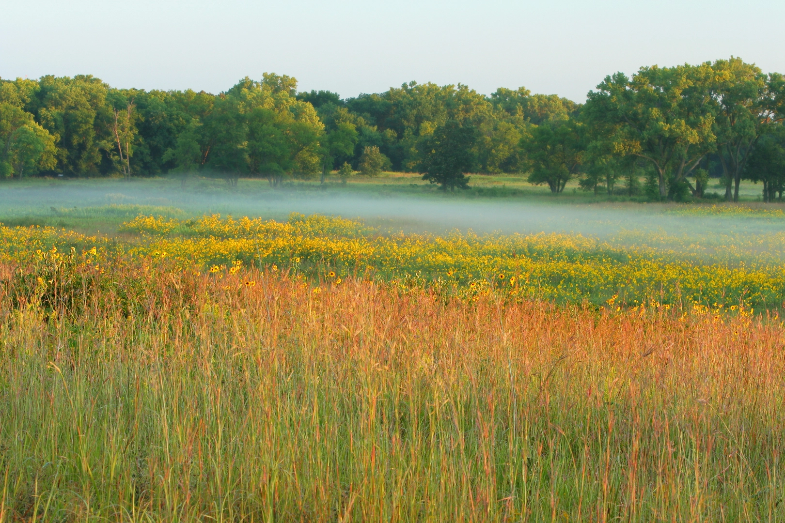 An image depicting the trail Homestead Trail and its surrounding area.