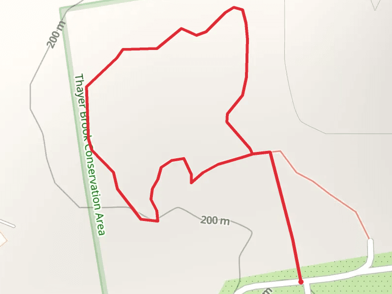 Wilbraham Community Garden Loop Trail