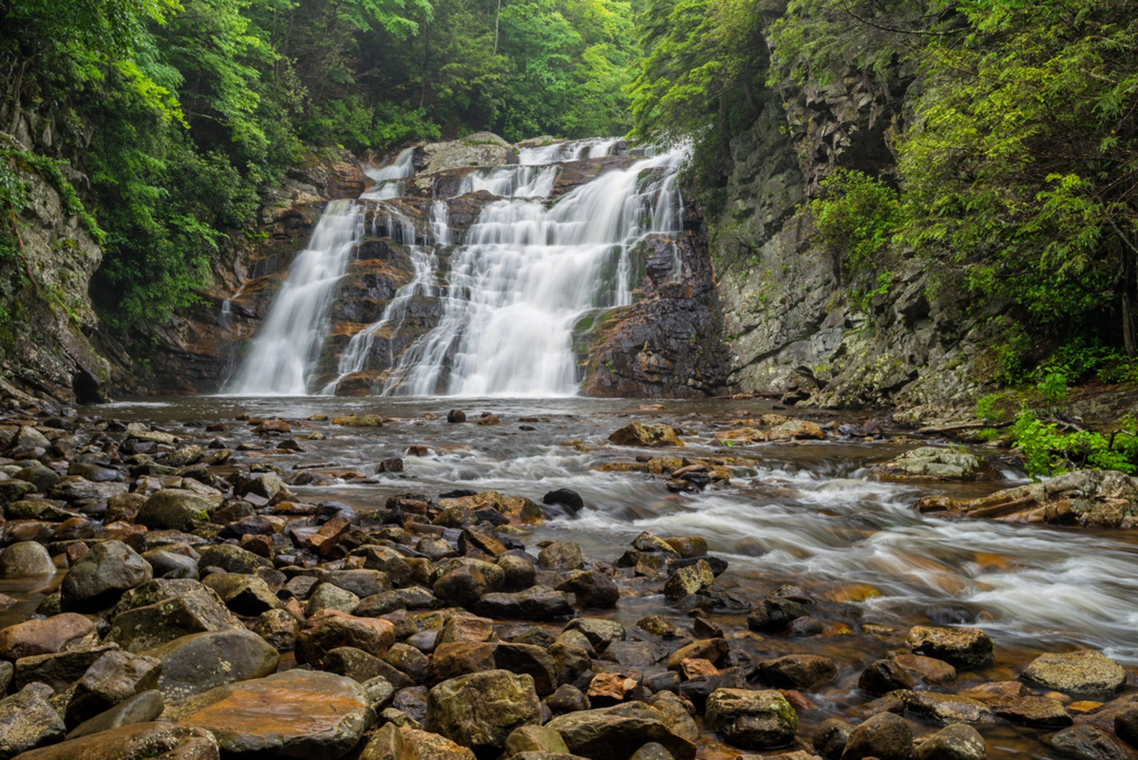 An image depicting the trail Laurel Falls Trail and its surrounding area.