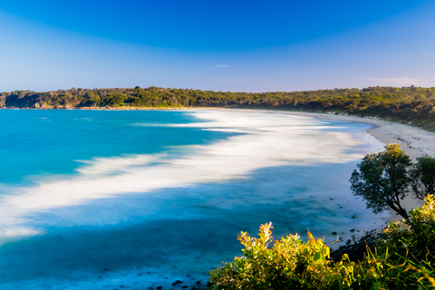 Bingi Dreaming Track