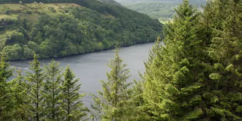 An image depicting the trail Scarr Mountain Trail and its surrounding area.