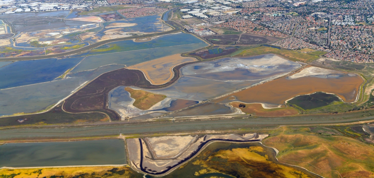 Walk to Gordon E Oliver Eden Shores Park