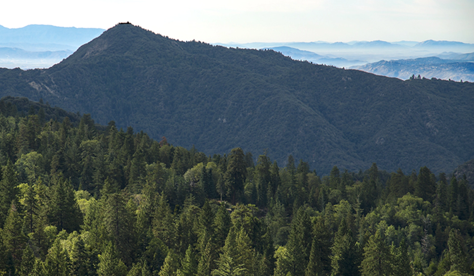 An image depicting the trail Little Charlton Peak, Jepson Peak and San Gorgonio Mountain South Fork Trail and its surrounding area.