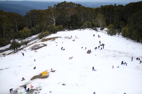An image depicting the trail Warburton to Mt Donna Buang via Mt Victoria and its surrounding area.