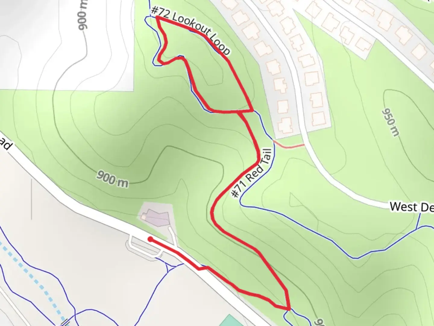 An image depicting the trail Lookout Loop and its surrounding area.