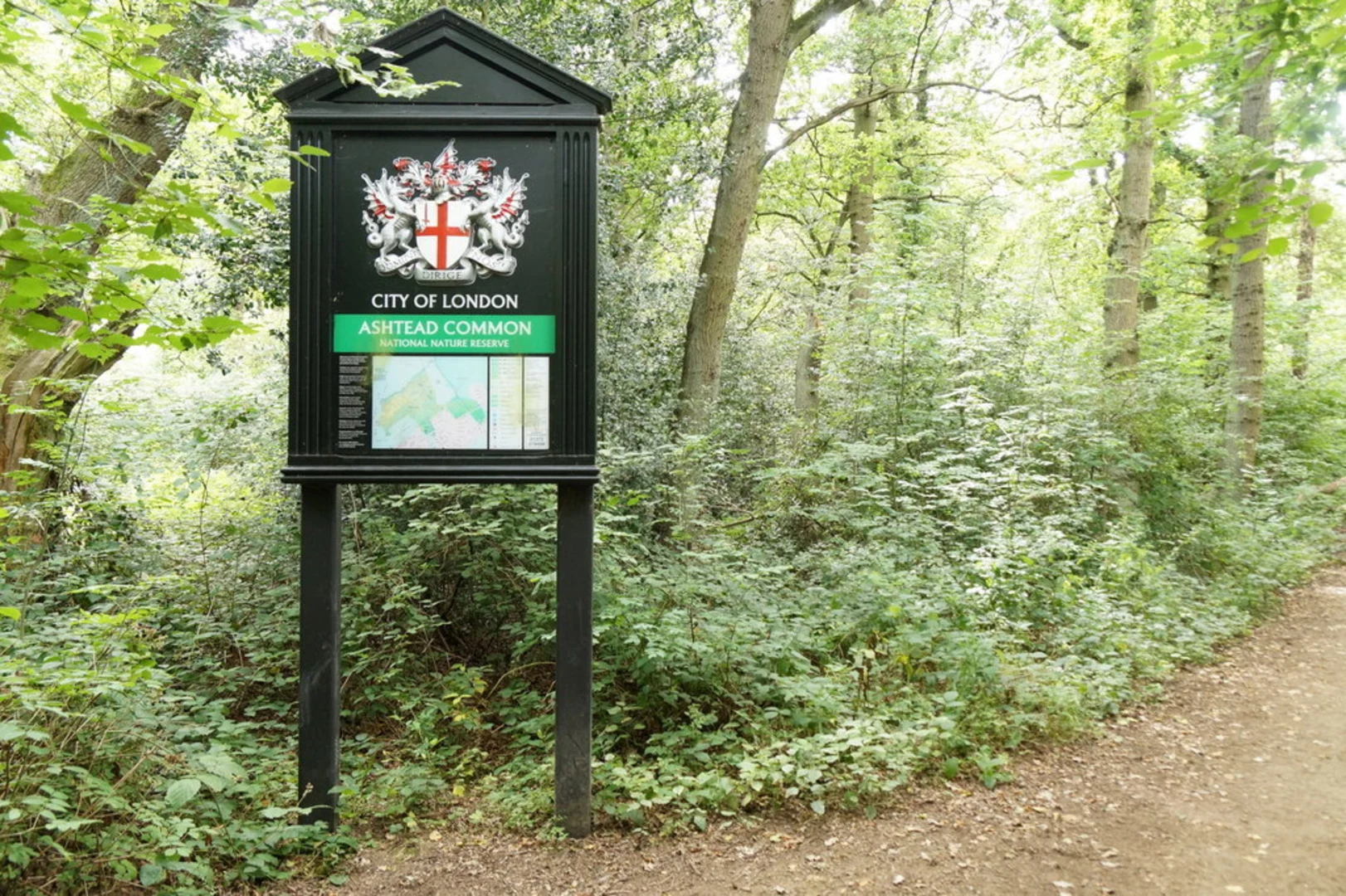An image depicting the trail Ashtead Common National Nature Reserve Loop and its surrounding area.