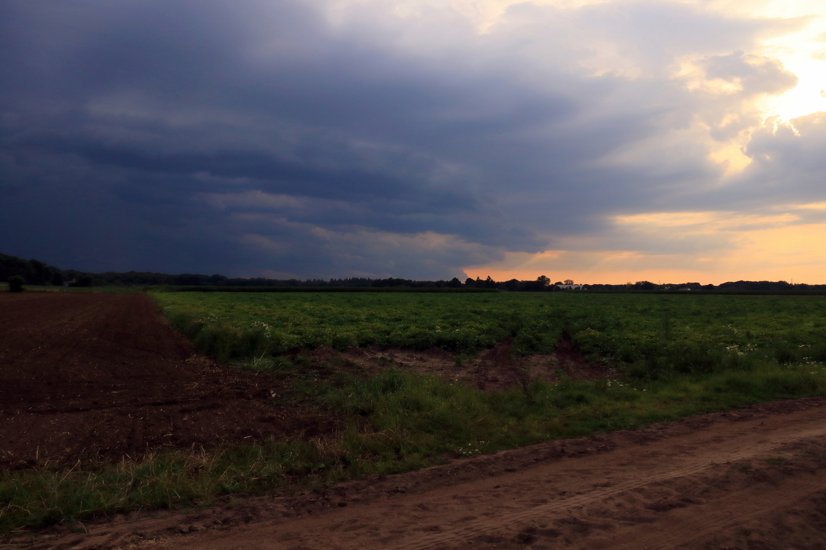An image depicting the trail Boddegat and Zandbos via Renkumse Weg and its surrounding area.