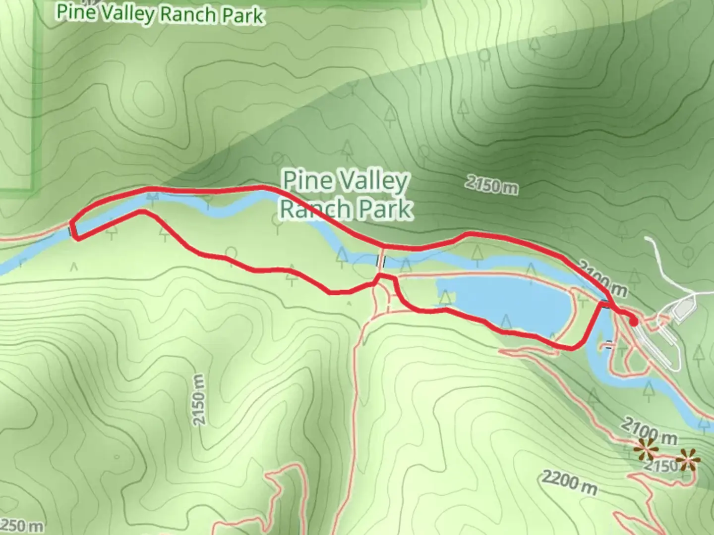 An image depicting the trail Pine Lake Loop Trail and its surrounding area.