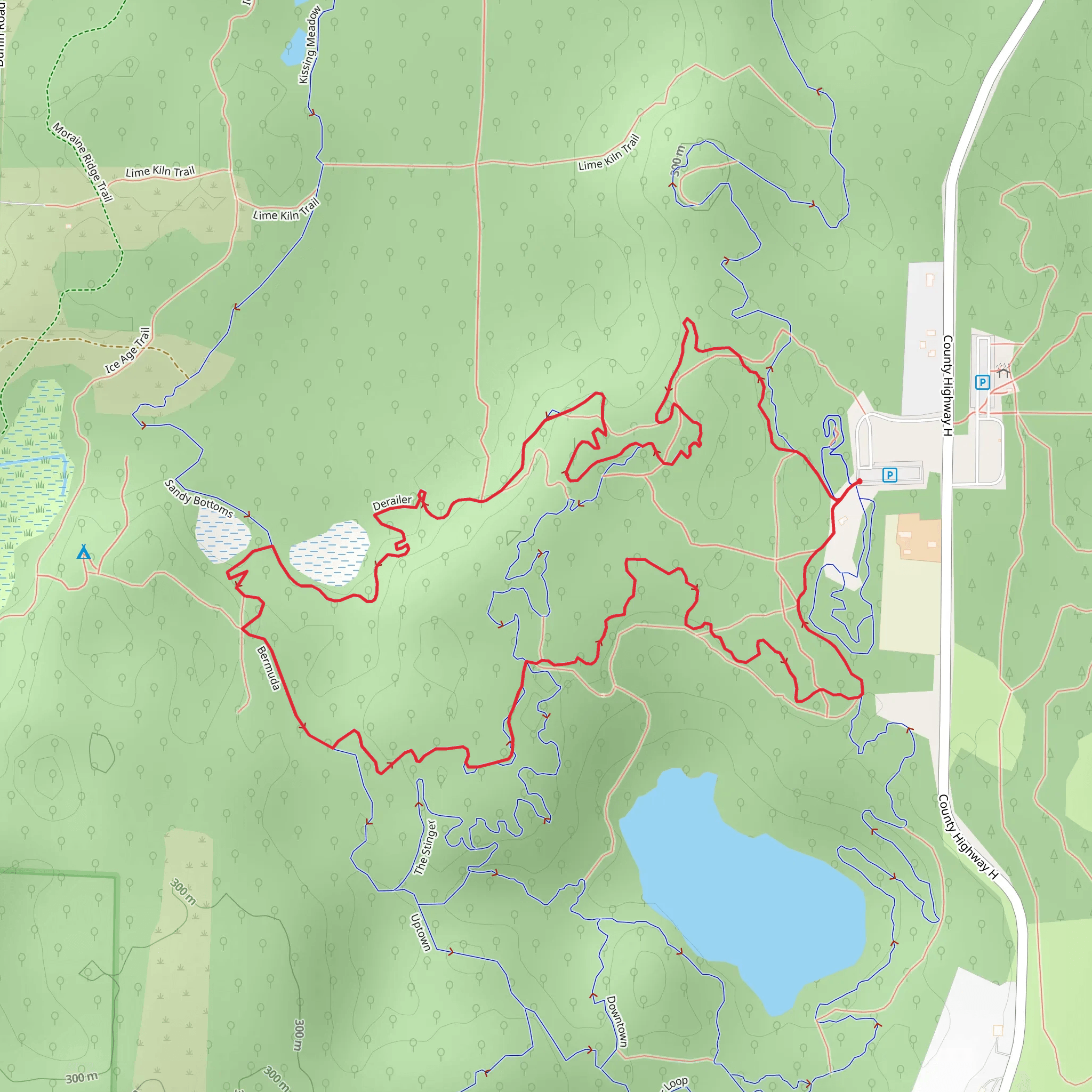 Orange and Purple Loop mobile static map