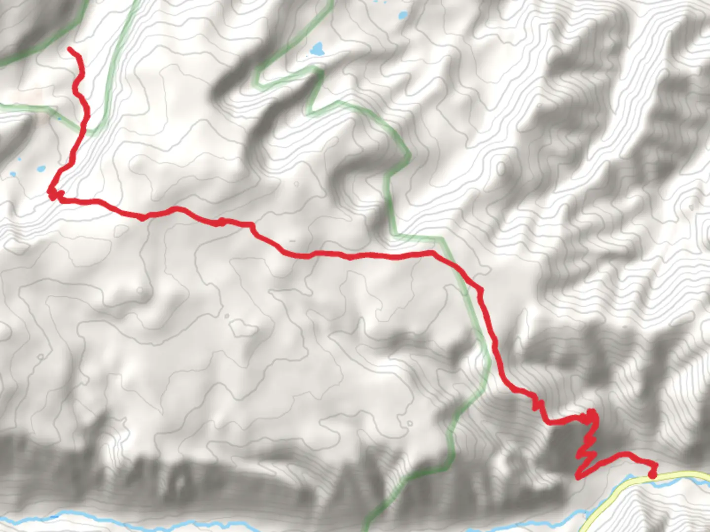 An image depicting the trail Bear Track Trail and its surrounding area.