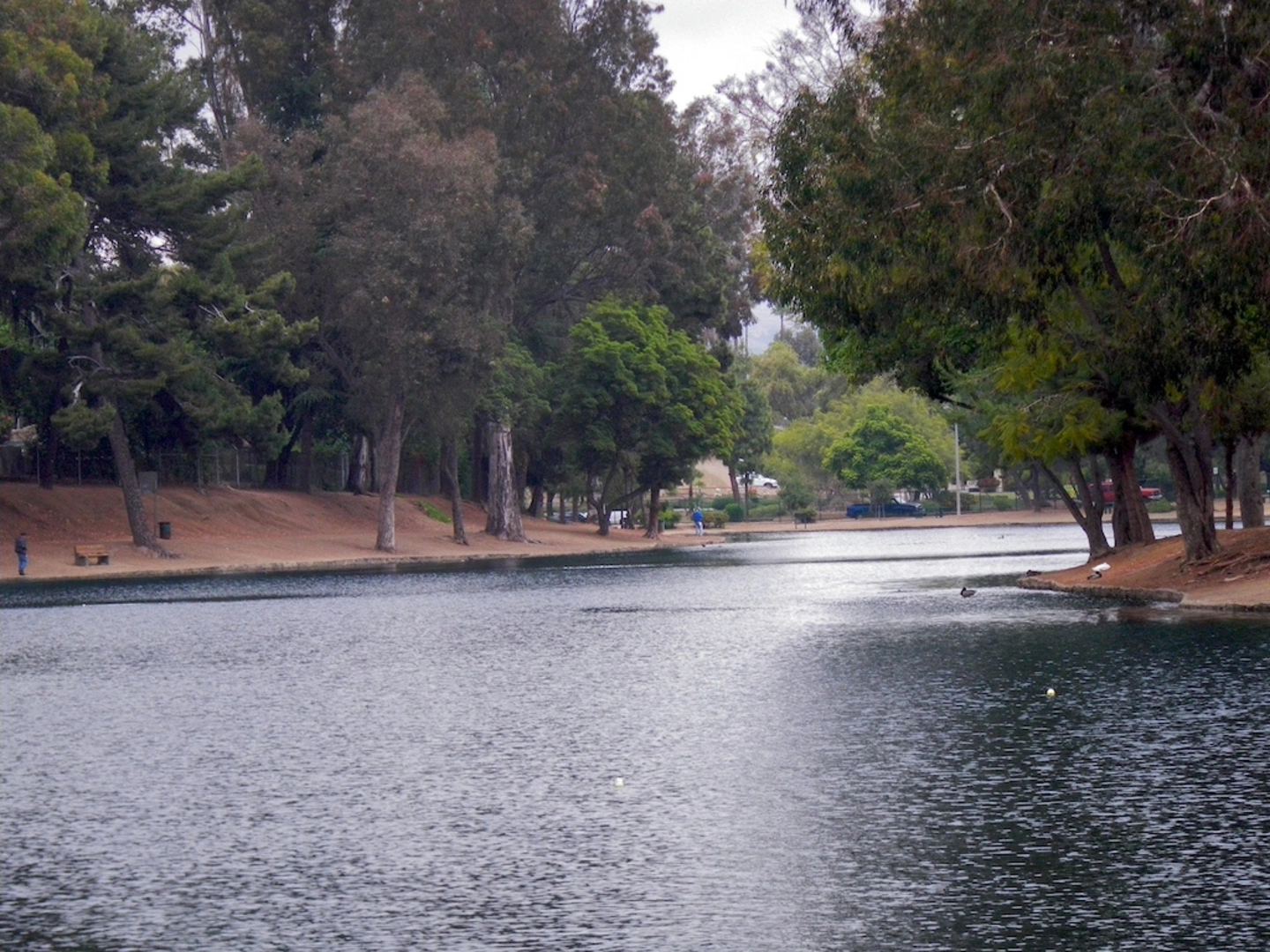 An image depicting the trail Laguna Lake and West Coyote Hills Park Loop and its surrounding area.