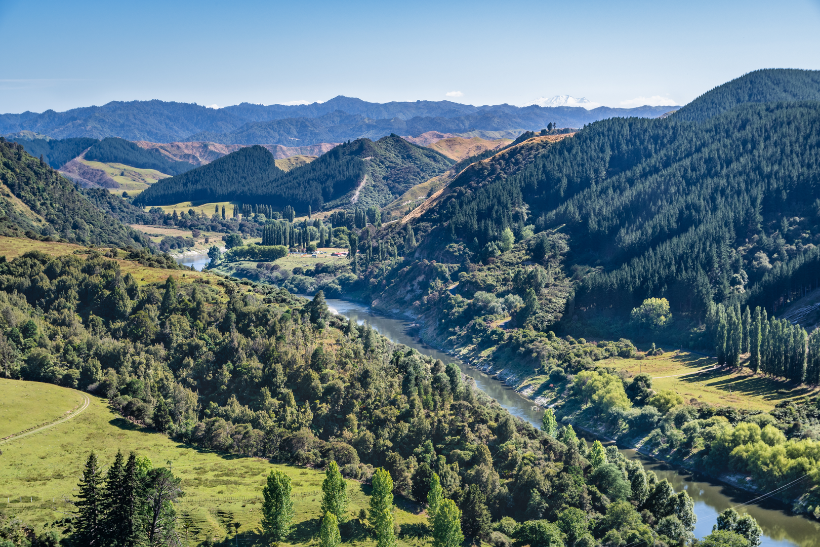 An image depicting the trail Matemateaonga Track and its surrounding area.