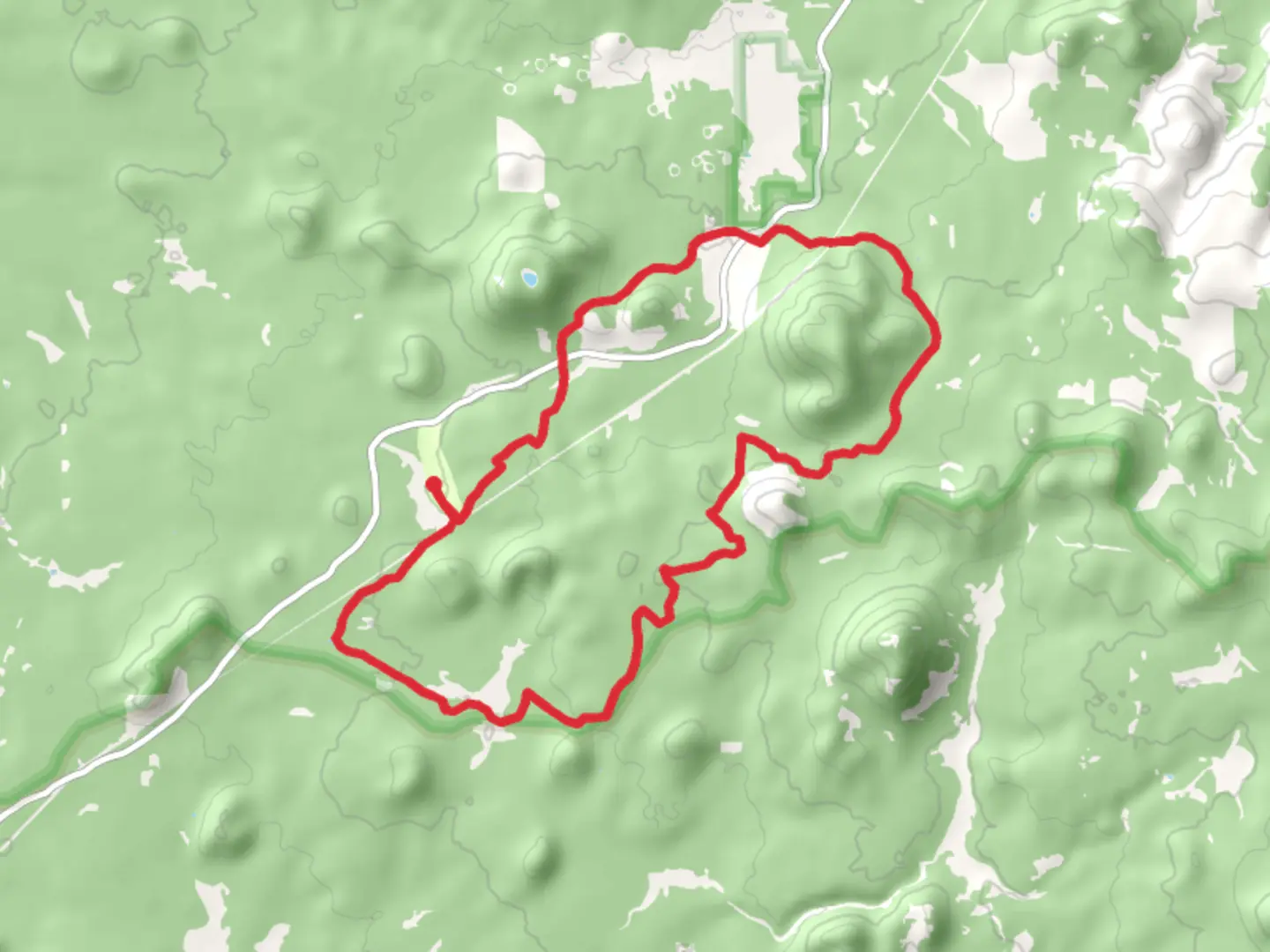 An image depicting the trail Los Burros Trail Loop and its surrounding area.