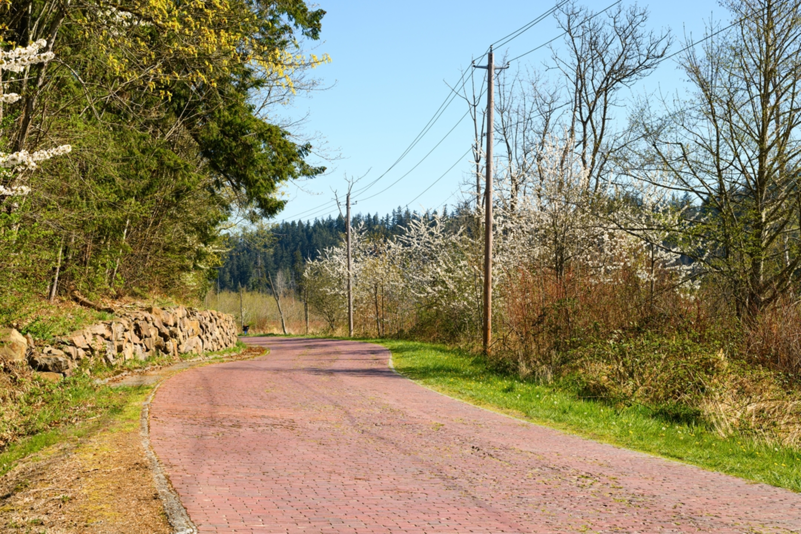 An image depicting the trail Wagon Road Trail and its surrounding area.
