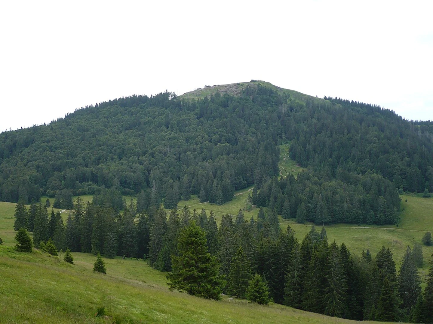 An image depicting the trail Innerlehen to Grafenmatt Lift Walk via Herzogenhorn and its surrounding area.