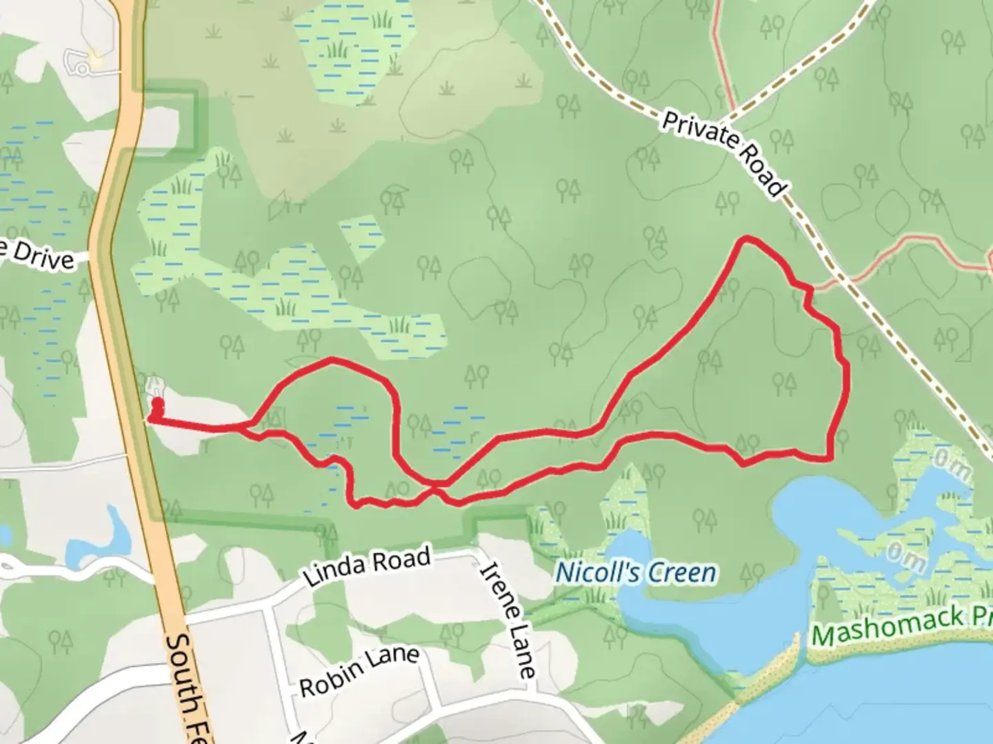 An image depicting the trail Nichol's Creen from South Ferry Road and its surrounding area.