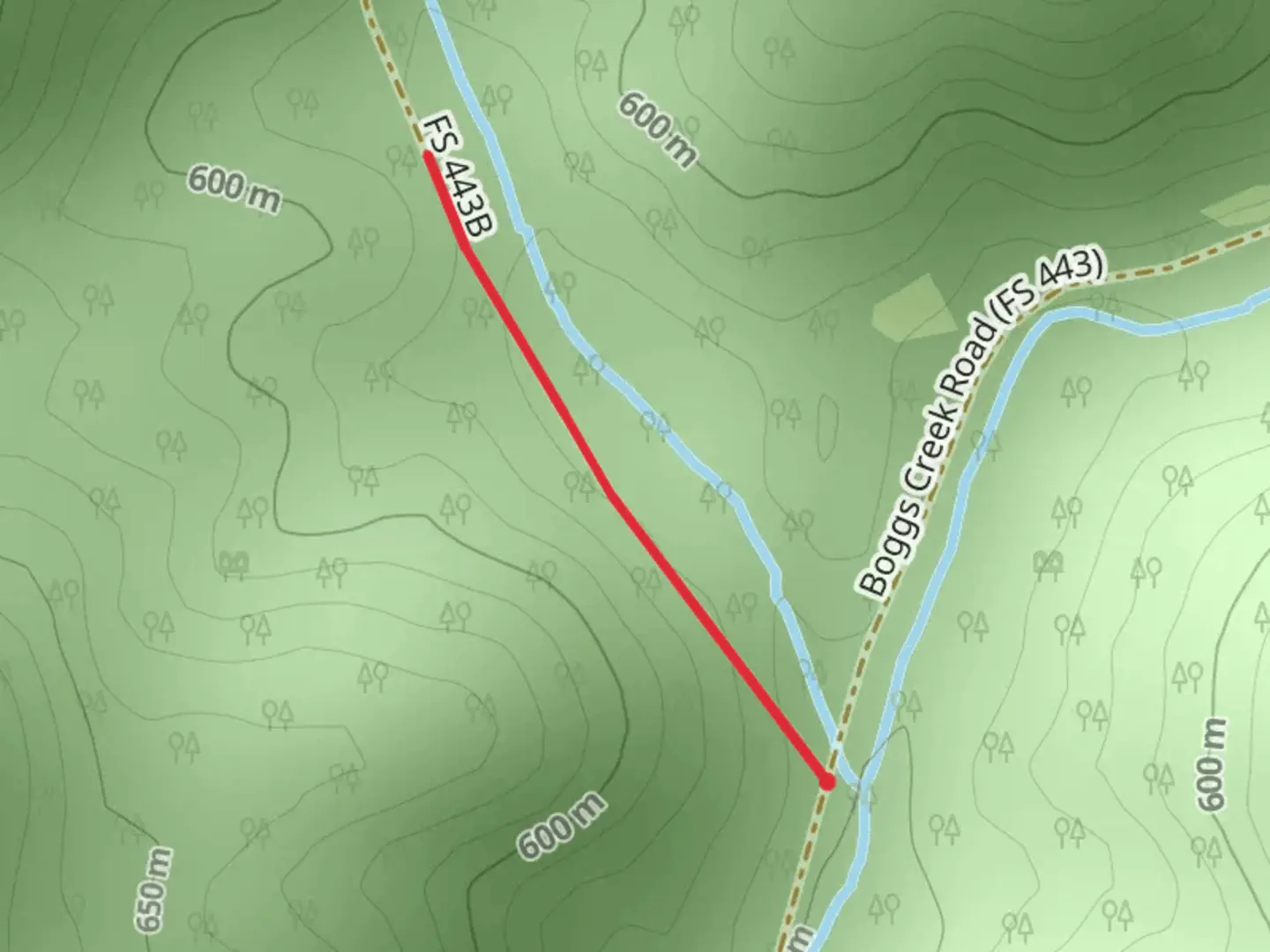 An image depicting the trail Boggs Creek and its surrounding area.
