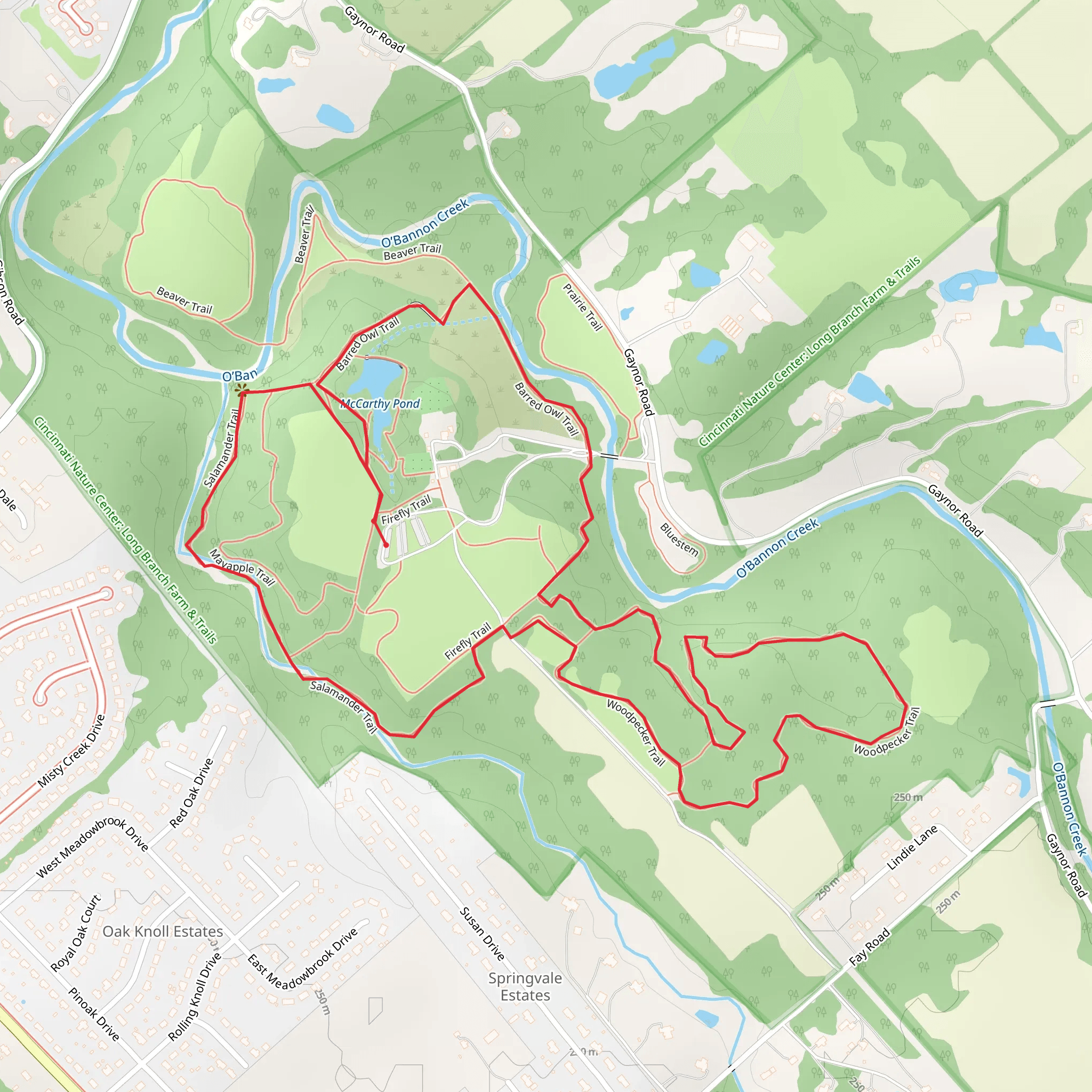 Barred Owl Trail, Woodpecker Trail and Salamander Trail Loop mobile static map