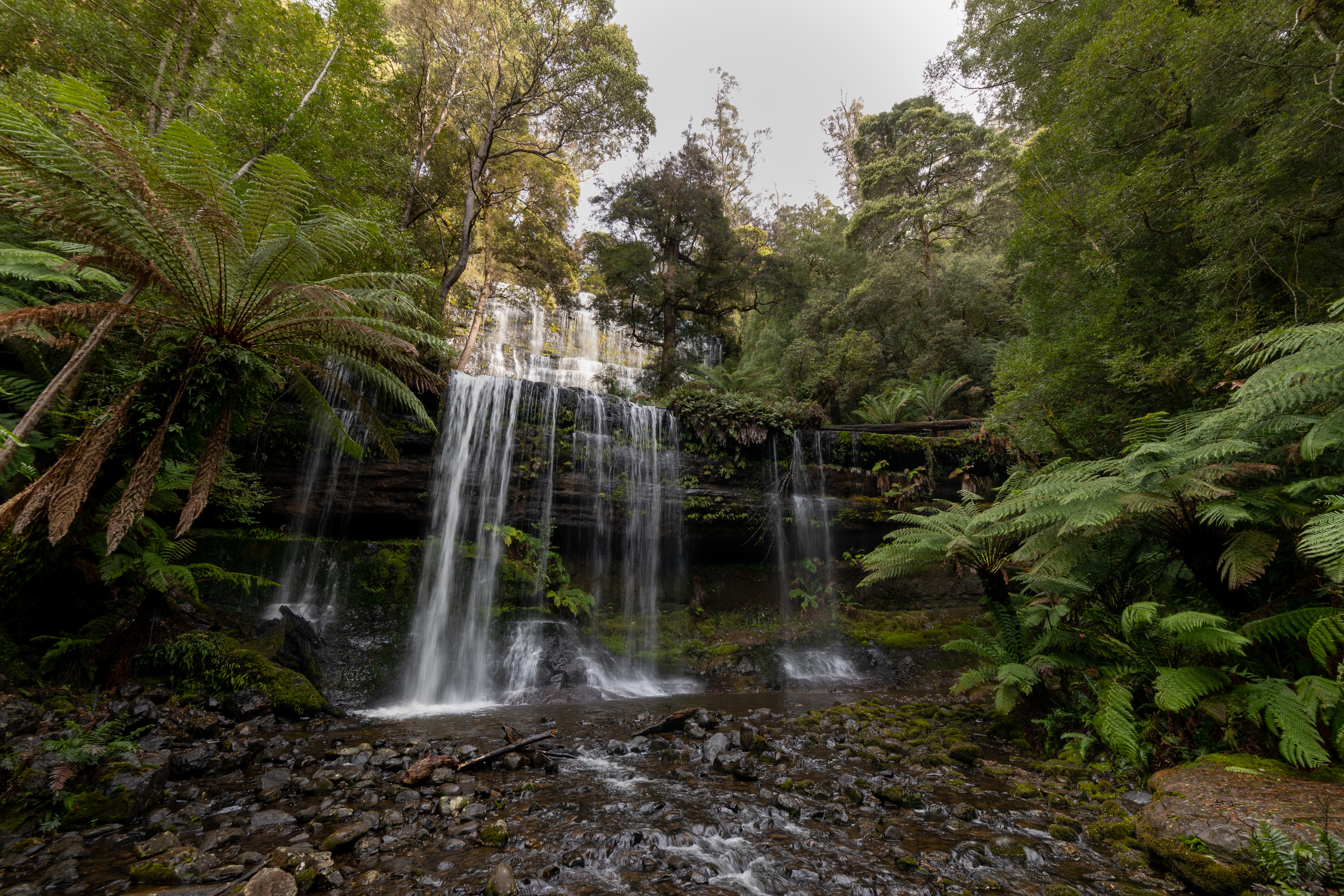 An image depicting the trail Franklin-Gordon Wild Rivers National Park and its surrounding area.
