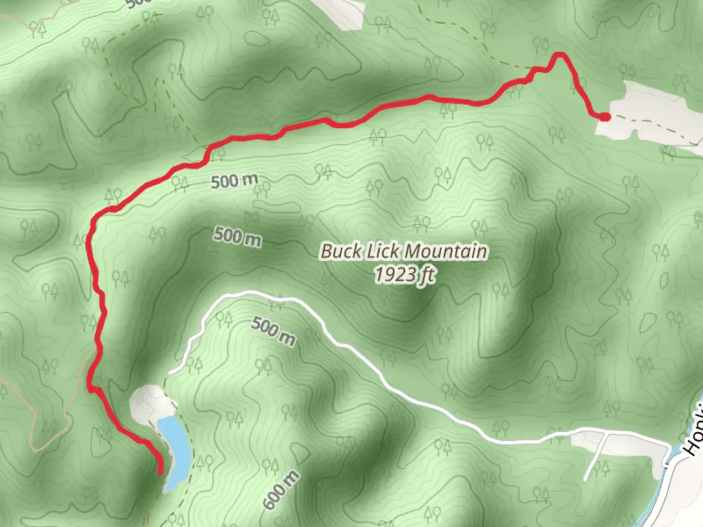 An image depicting the trail Hog Pen Forest Road and its surrounding area.