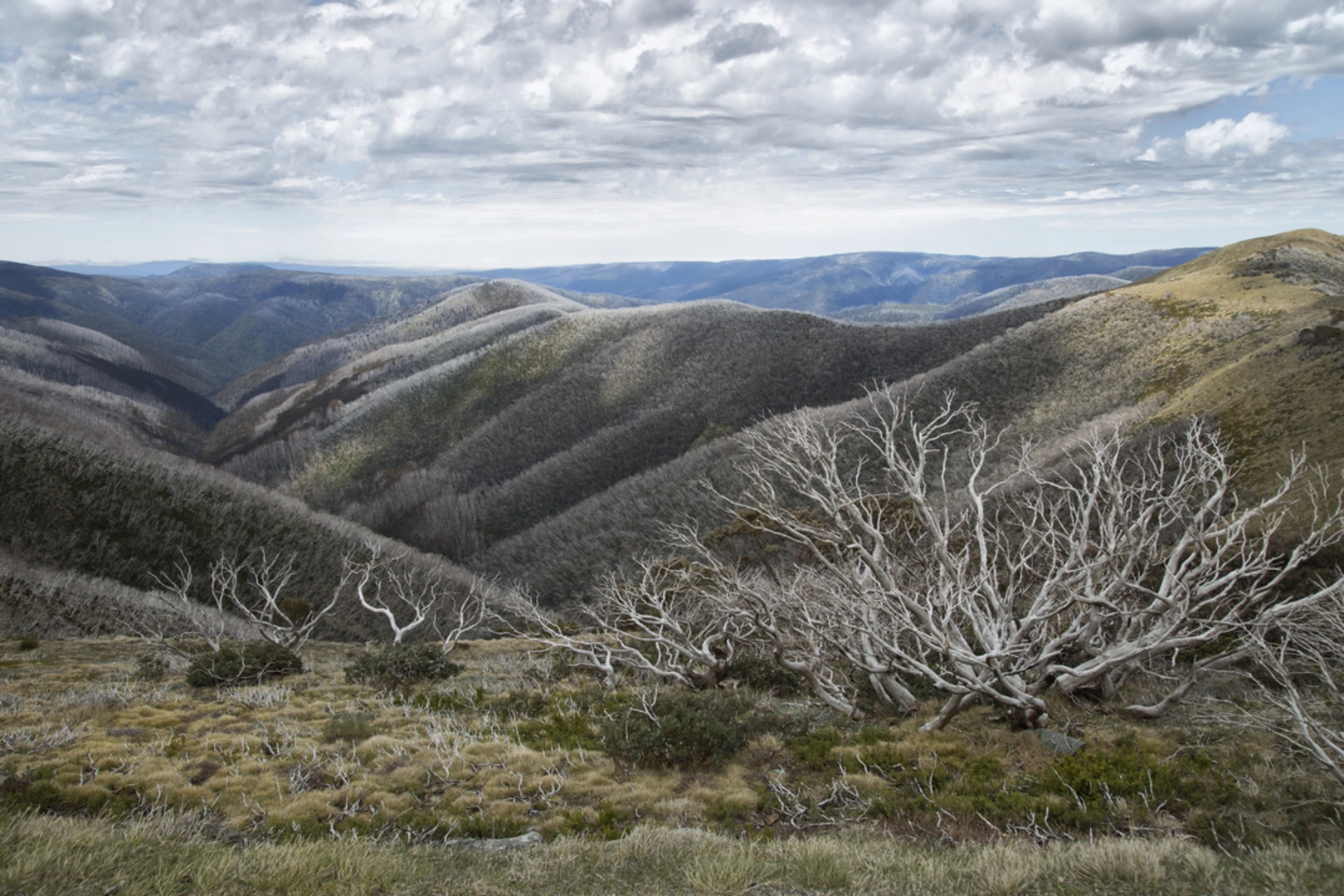 An image depicting the trail Feathertop and Highplains Circuit Trail and its surrounding area.