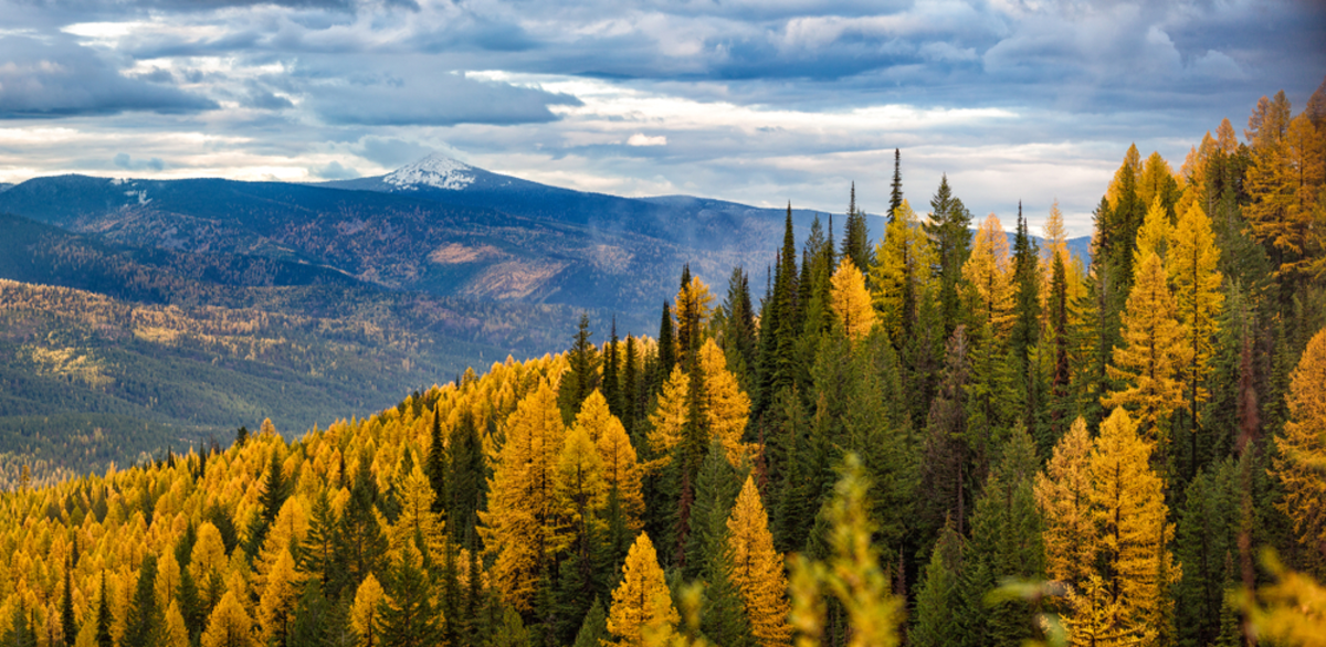 Ch-paa-qn Peak Trail