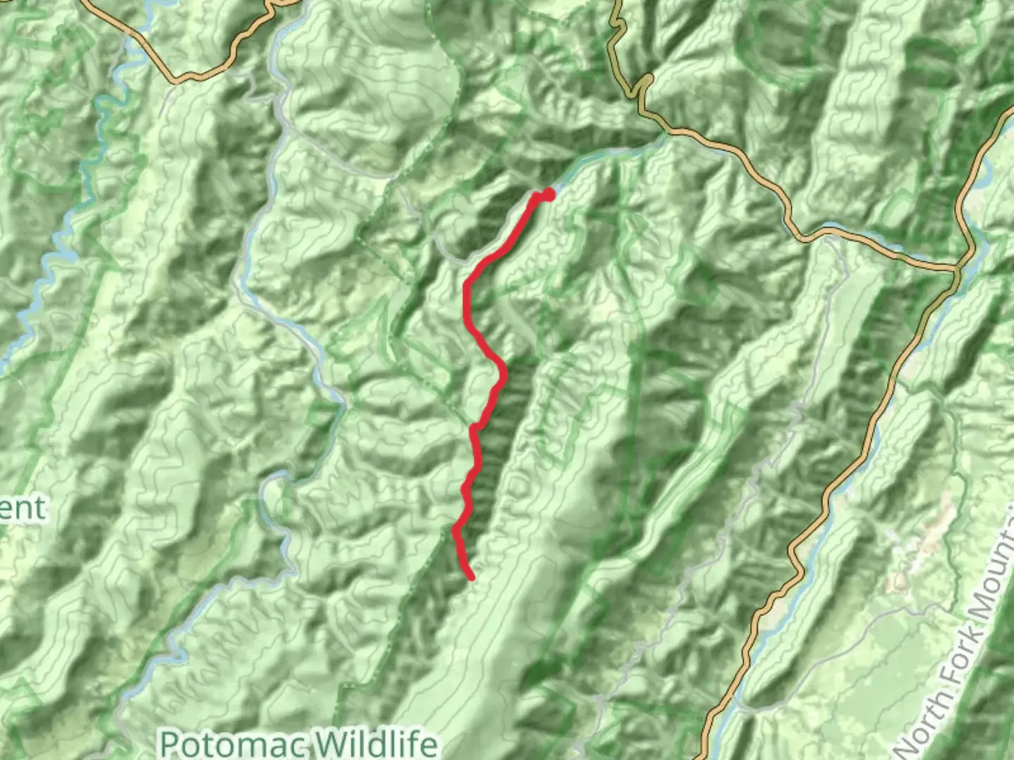 An image depicting the trail Seneca Creek via Allegheny Mountain Trail and its surrounding area.