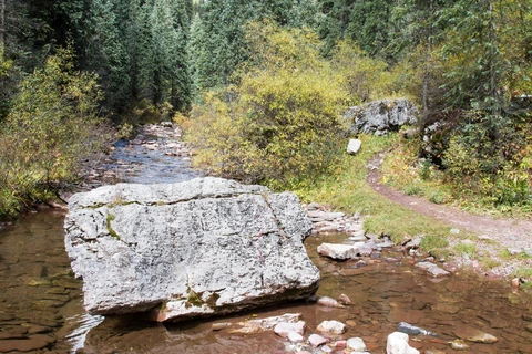 An image depicting the trail West Lime Creek Trail and its surrounding area.