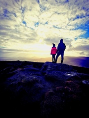 Donal O'Connell avatar