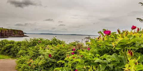 An image depicting the trail Dunmore East Cliff Walk and its surrounding area.