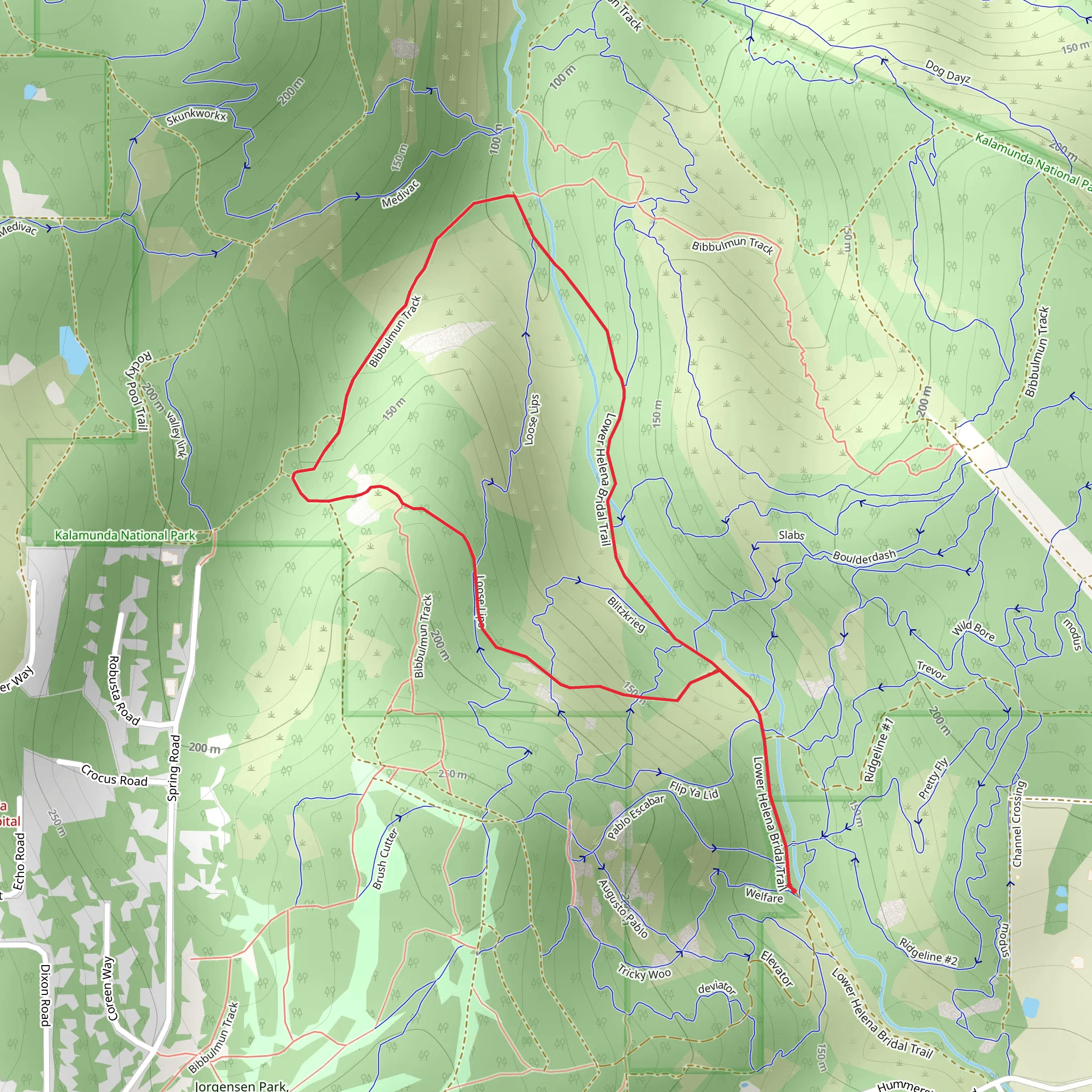Schipp Road Walk mobile static map