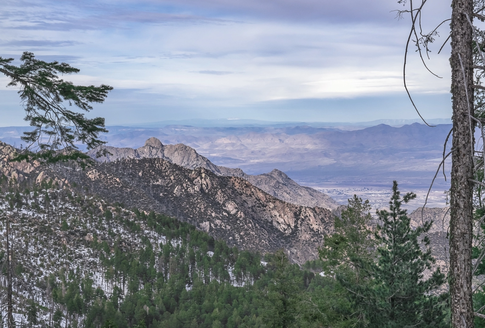 An image depicting the trail Ladybug Peak Trail and its surrounding area.