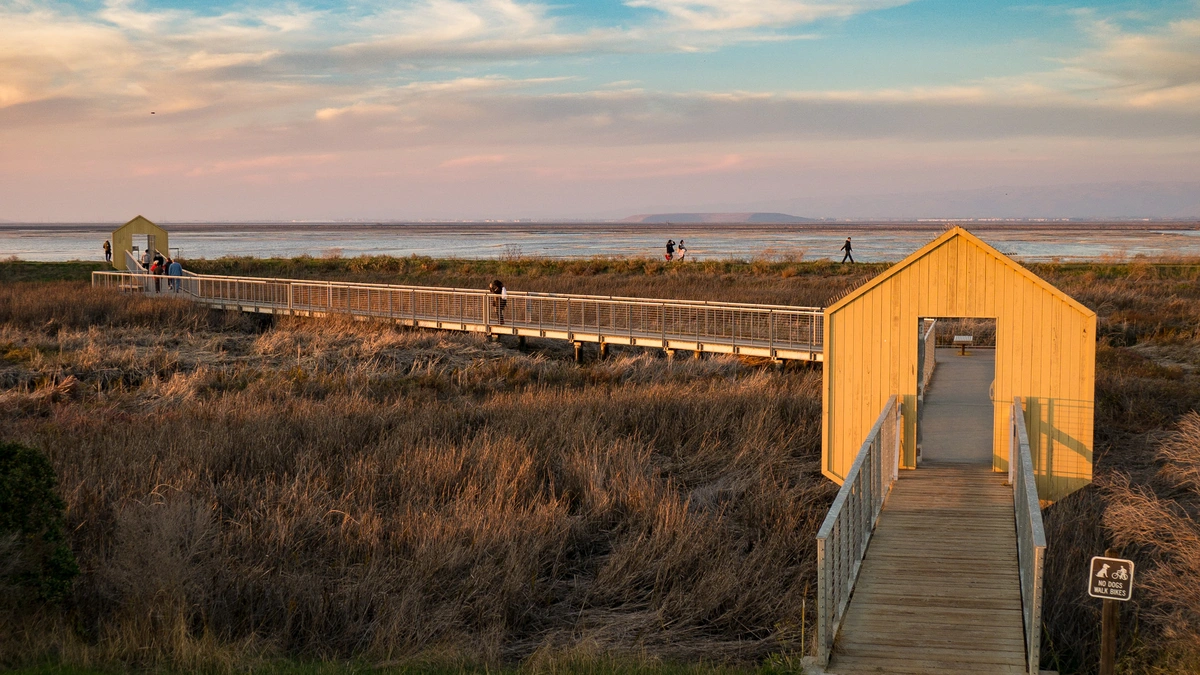 Alviso Marina County Park Loop