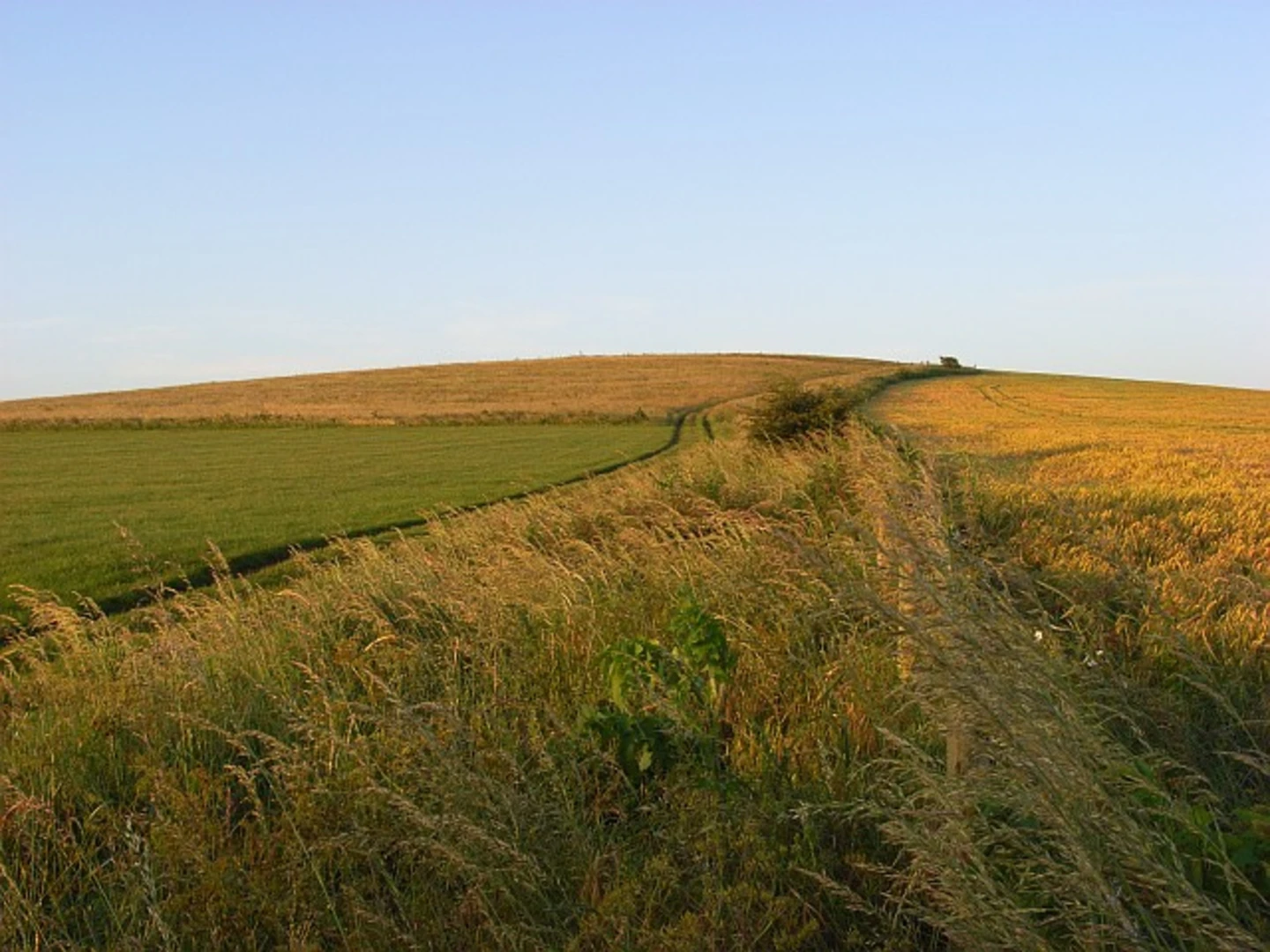 An image depicting the trail Lowbury Hill and Langdon Hill Loop and its surrounding area.