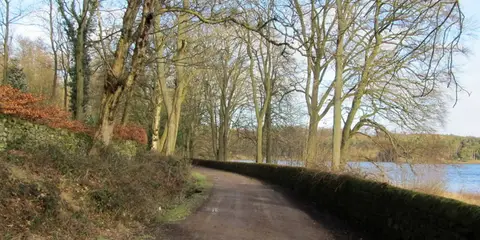 An image depicting the trail Belsmley and Oatley Beacon and its surrounding area.