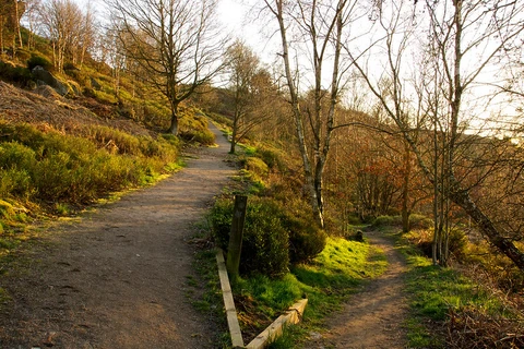 An image depicting the trail Fox Hagg Loop and its surrounding area.