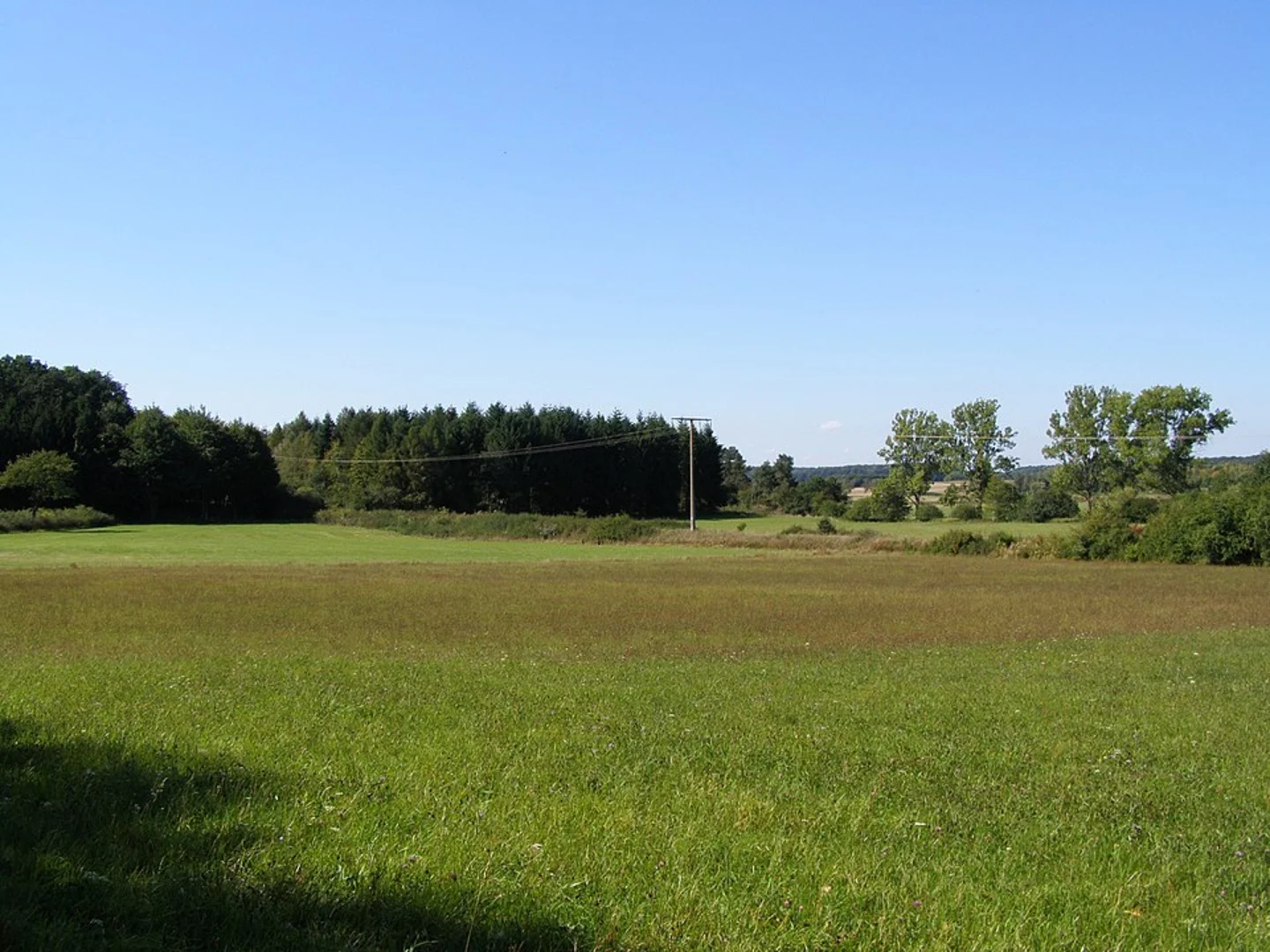 An image depicting the trail Nieder Bessingen and Nonnenroth Loop and its surrounding area.