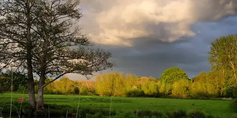 An image depicting the trail Godalming Town Bridge to Thames Lock along River Wey Navigations and its surrounding area.
