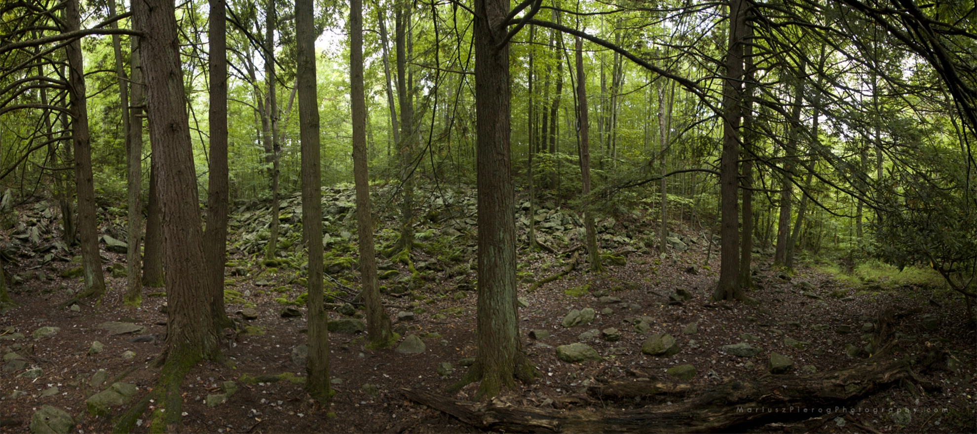 An image depicting the trail Hickory Run and Sand Spring Lake Loop via Stone Trail and its surrounding area.