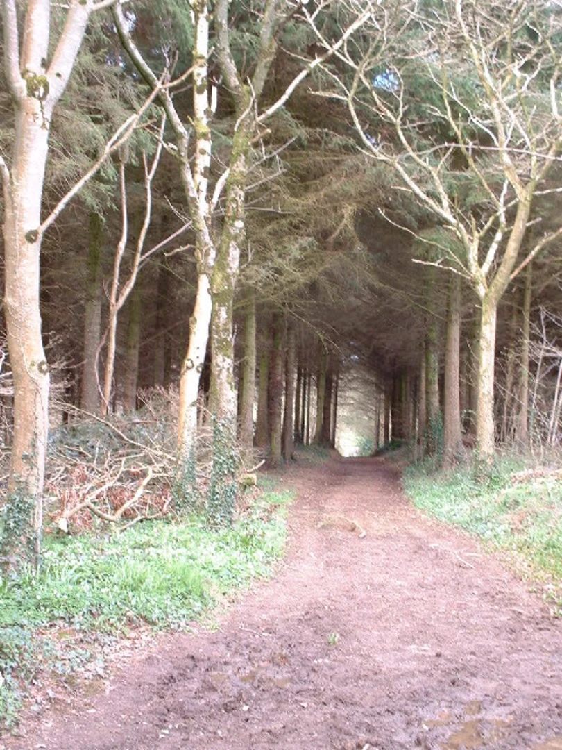 An image depicting the trail Morchard Bishop to Witheridge Walk and its surrounding area.