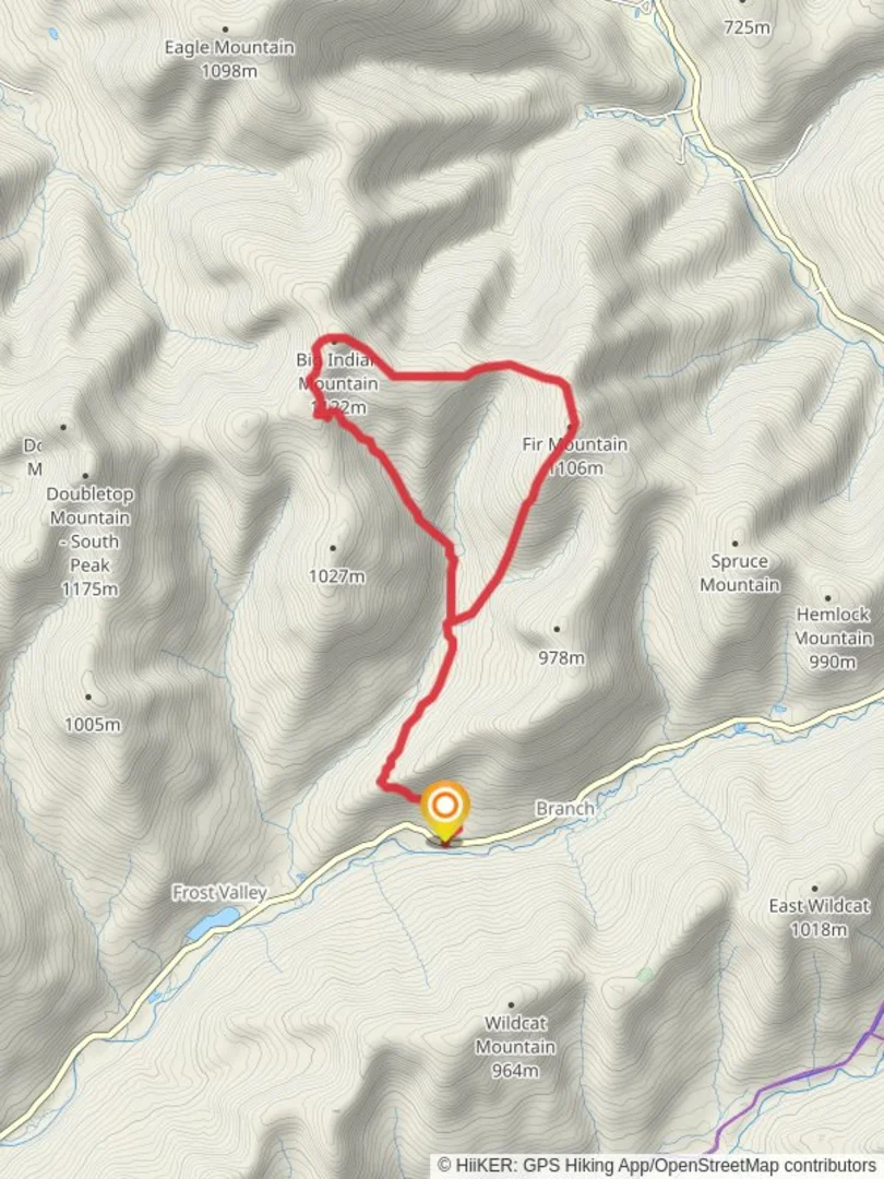 An image depicting the trail Fir Mountain and Big Indian Mountain via Pine Hill - West Branch Trail and its surrounding area.