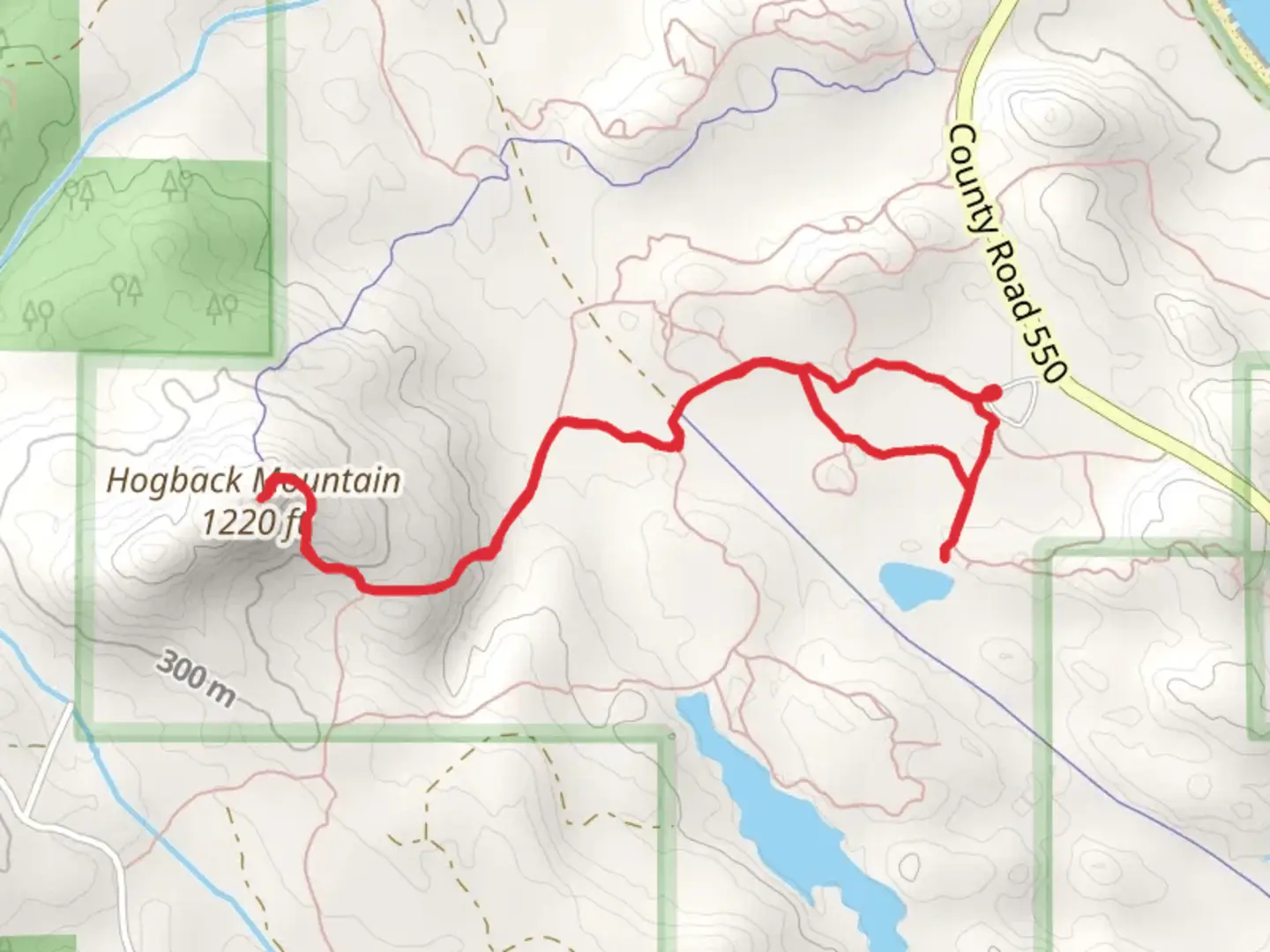 An image depicting the trail Wetmore Pond and Hogback Mountain via NCT and its surrounding area.