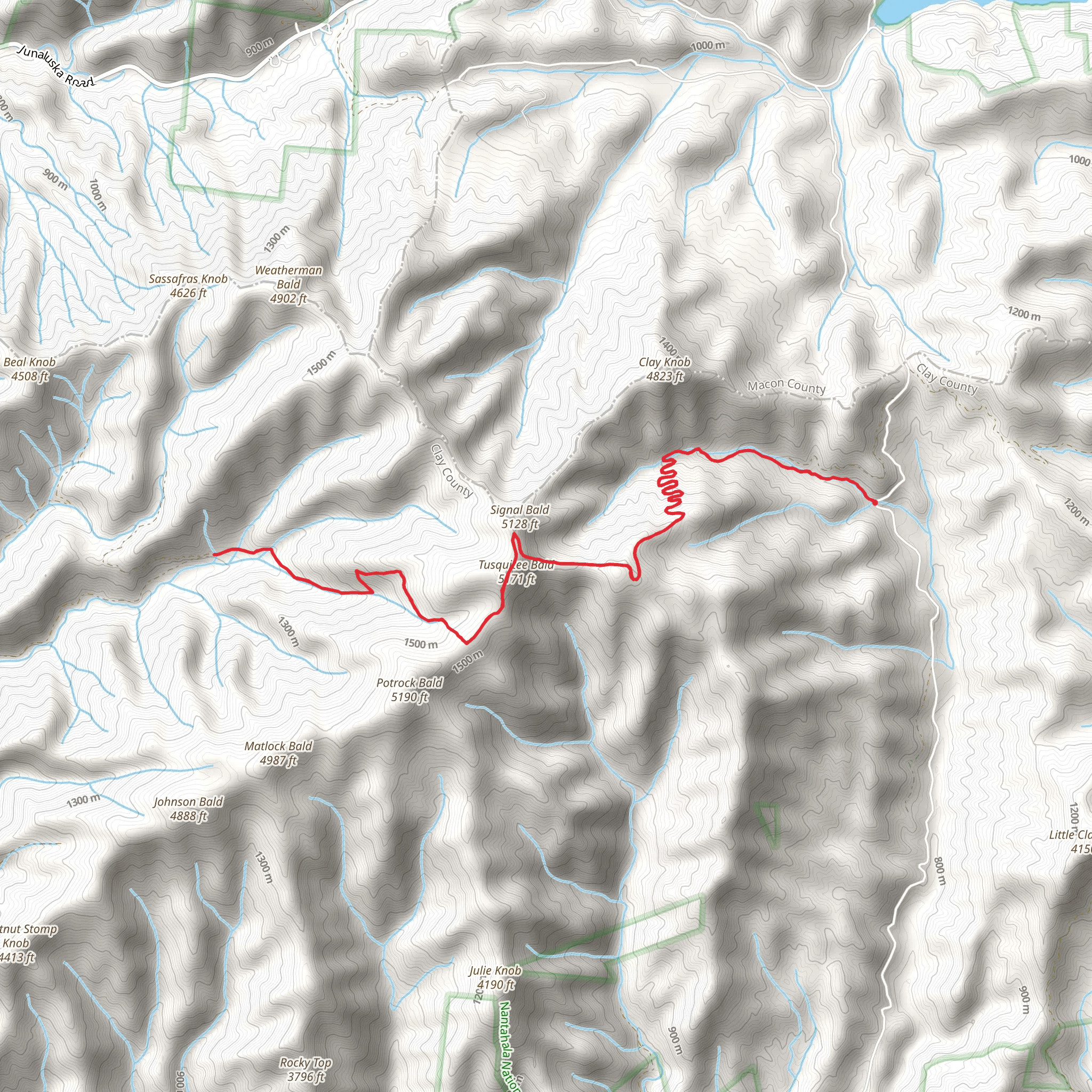 Far Bald Springs via Chunky Gal Trail mobile static map
