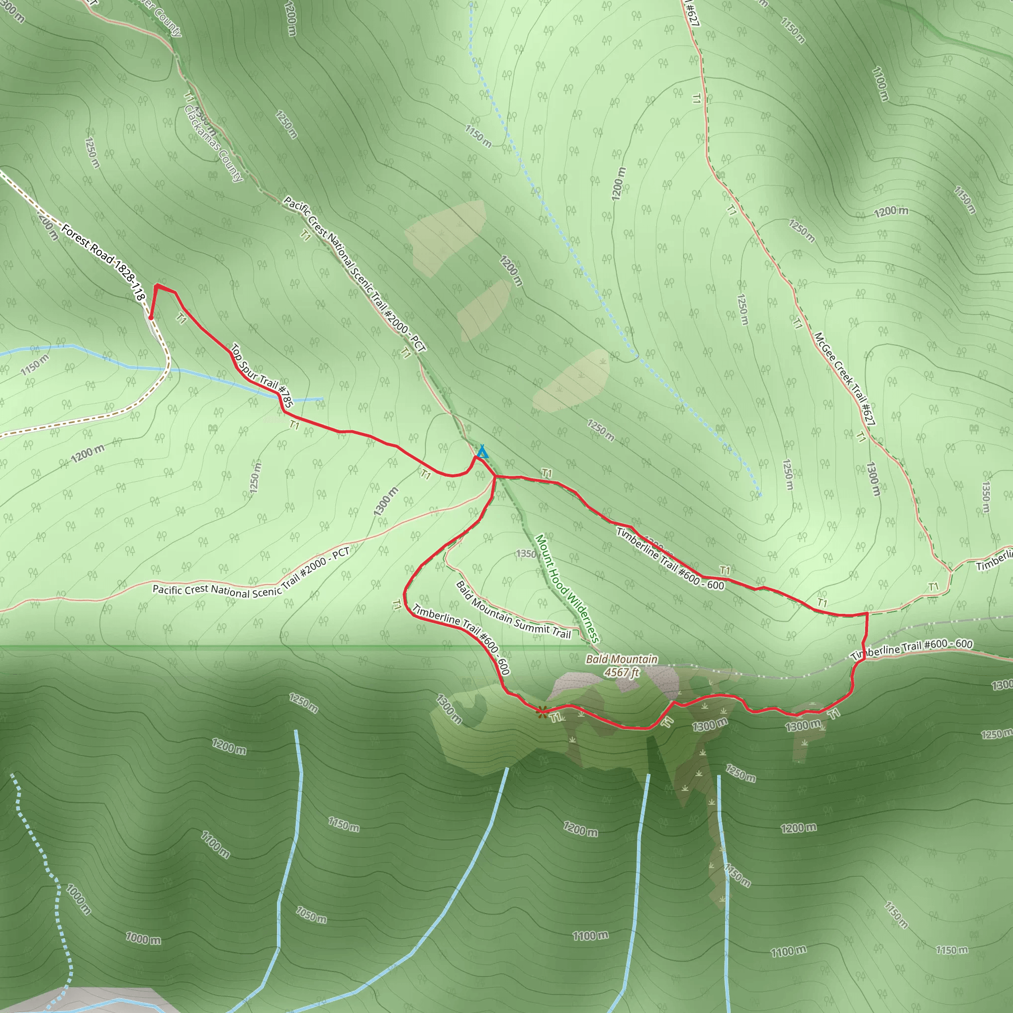 Bald Mountain Loop mobile static map
