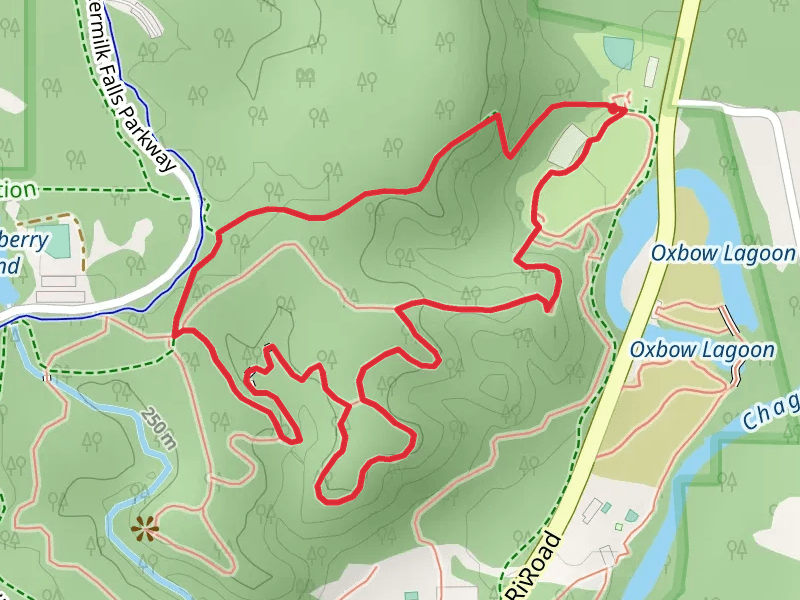 Bridle Trail, Scenic Loop Trail and Squire's Lane Trail Loop