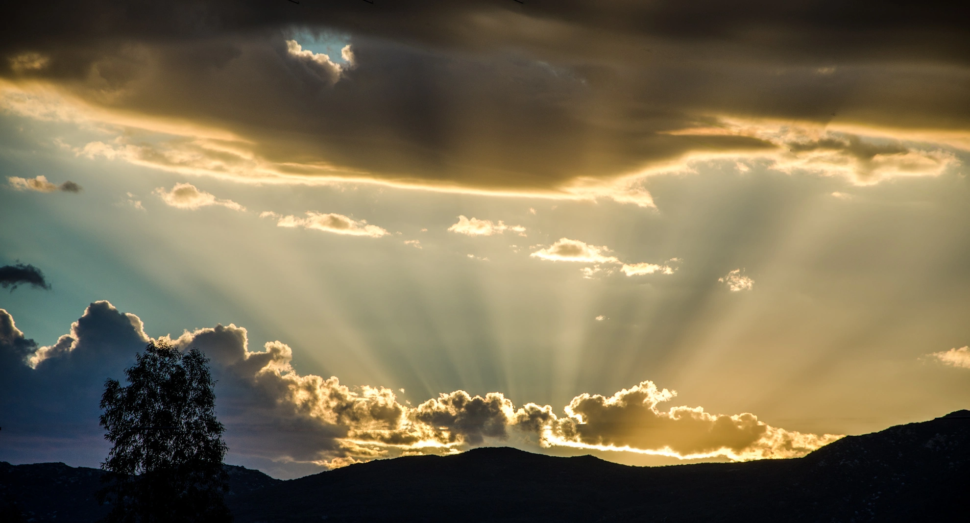 An image depicting the trail Dripping Springs and Wild Horse Peak Loop Trail and its surrounding area.